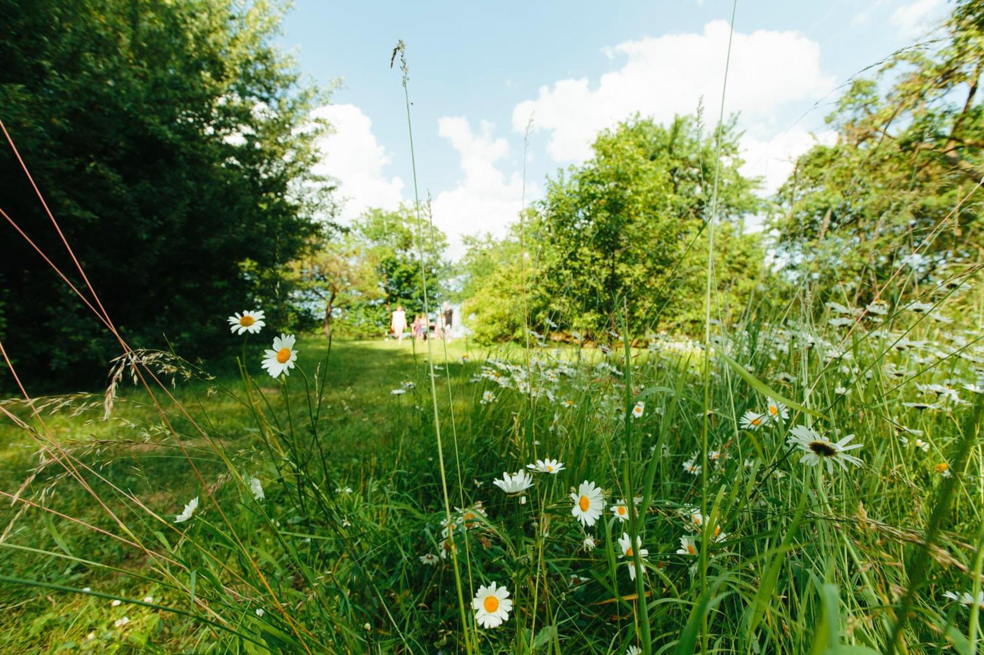 Feriendomizil Alter Garten Temmen-Ringenwalde Exterior foto